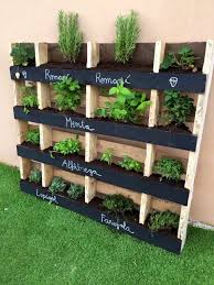 Pin On Herb Garden