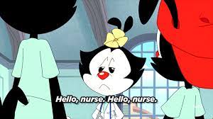 She's the woman of the year independent, a career there's not a thing that she couldn't do oh, she's alert yakko and wakko: Hello Nurse On Tumblr