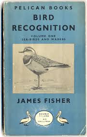 Birds Of Cape Cod Book Pin On Books I Might Read