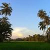 Kampung babakan ini berada di desa cijambu, kecamatan cipongkor. 1