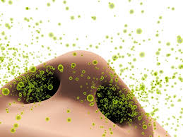 What can make you sneeze. How Far Does A Sneeze Travel University Health News