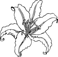 Free printable fairy coloring pages for kids. Lily Coloring Pages Books 100 Free And Printable