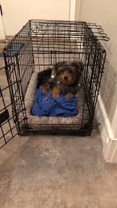 No one should have to live with permanent barriers between pets who get along so badly that that there are safety concerns. Pet Supplies Pet Crates Kennels Yorkie Crate