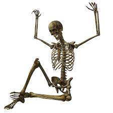 Skeleton Png Images Best Background Images