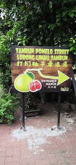 Limau yang boleh didapati di sini ialah limau pomelo yang berkualiti tinggi. Go Chin Pomelo Nature Park Ipoh 2021 All You Need To Know Before You Go With Photos Ipoh Malaysia Tripadvisor