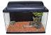 Ball Python Enclosure Ideas