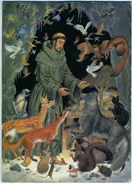 Pin By Cici On Holy Francis Of Assisi Patron Saint Of Animals Assisi