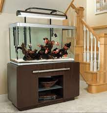 Maybe you would like to learn more about one of these? 20 Most Attractive Collection Of Aquarium Furniture Designs Popular