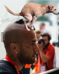 Pin On New Hair Cut