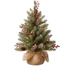 Check spelling or type a new query. National Tree Co 2 Dunhill Fir Tree Qvc Com
