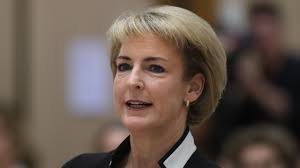 Teal independents would bring ‘chaos and instability’: Michaelia Cash