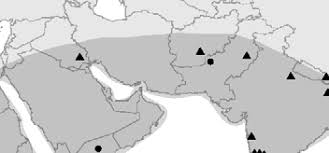 Image result for Cucumis quintanilhae