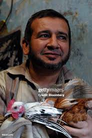 433 Dana Bird Stock Photos, High-Res Pictures, and Images