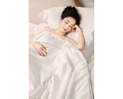 Online shop for lilysilk 100 natural all season silk comforter with silk shell. Summer Silk Comforter