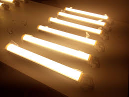 Pin On Led Tube Light
