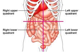 With the body in the anatomical position, specific terms are used to describe the location of a human body part relative to another (figure 1.1a). Http Www Lamission Edu Lifesciences Alianat1 Chap1 Anatomical 20terminology Pdf