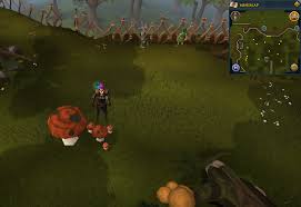 ※ gardaka's treasure quest can only be challenged one at a time. Treasure Trails Guide Simple Clues Runescape Wiki Fandom