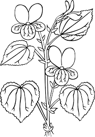 To download and print, please click…. Top 20 Printable Violet Coloring Pages Online Coloring Pages