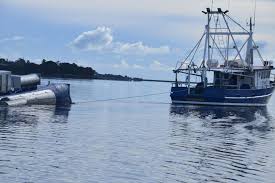 The tidal power station became operational in 2011 and currently produces 550 gwh annually, with a capacity of 254mw. What Is Tidal Energy And How Does It Work Australian Renewable Energy Agency