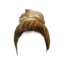 Hairstyle737 Png 500 762 Liked On Polyvore Featuring Beauty Products Haircare Hair Styling Tools Hair Blond Photoshop Hair Hair Tools Hair Illustration