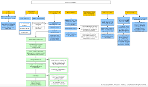 Secured Transactions Flowcharts