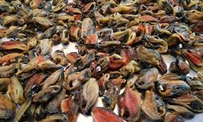 Maybe you would like to learn more about one of these? Ketahui Khasiat Yang Ada Dalam Kupang Umpan