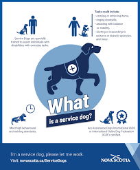 Free service dog registration canada. Applying For Service Dog Team Certification Government Of Nova Scotia Canada
