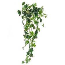 Landscape accents which will bring a special look to your outdoor landscape no matter where you place them, this green silk english ivy plants will make for a highly captivating addition. Artificial Silk English Ivy Bush Trail Just Artificial