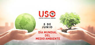 05 de junio 2021, 05:00hs. Vlmwocf3k68nqm