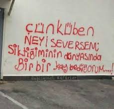 Ayshenurrr Adli Kullanicinin Subliminal Kufurler Panosundaki Pin Ayrilik Sozleri Duvar Ilham Verici Alintilar