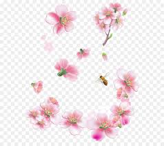 Download transparent floral pattern png for free on pngkey.com. Floral Pattern Background