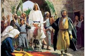 Members of the great crowd put palm branches on the path to honor jesus. 9 Things You Need To Know About Palm Passion Sunday National Catholic Register