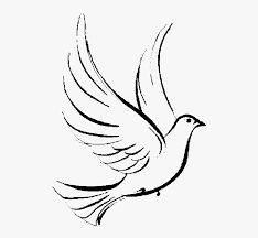 134 christian spiritual clipart free images in ai, svg, eps or cdr. Dove Cross Jesus Christianity Christian God Symbol Transparent Background Dove Clipart Png Png Download Transparent Png Image Pngitem