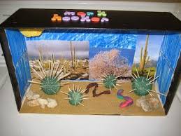 Biome In A Box Project Worksheetplace Com Ecosystems Projects Biomes Project Habitats Projects