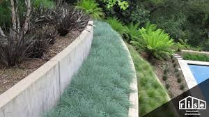 Check spelling or type a new query. Retaining Wall Options A Complete Guide