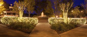 How many lights to use. Net Lights Installation Guide