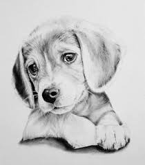 Custom Charcoal Portrait 8x10 In Drawing Commissioned Pet Portrait Drawn From Julia Home Dieren Tekenen Huisdier Portretten Hond Tekeningen