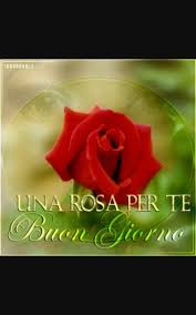 Buongiorno Con Una Rosa Buongiorno Fiori Buongiorno Immagini