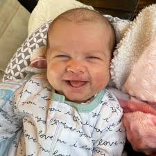 Michael Sutkowski (@sutuftski_apiary) • Instagram photos and videos