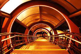 Elephant Stairs Case Western Reserve University Stairs Learning Place