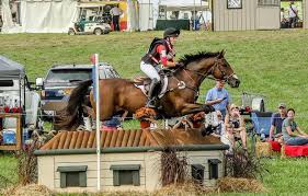 Maybe you would like to learn more about one of these? 500 Craigslist Diamond In The Rough Sparkles For Fylicia Barr In Fair Hill Cci2 Eventing Nation Three Day Eventing News Results Videos And Commentary