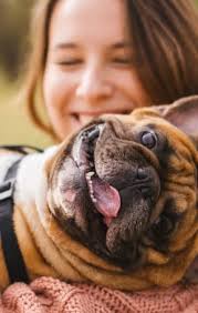 Luxury Apartments in Madison, AL