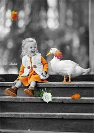 Fose foto anak urban ~ sekelompok anak di bogor beli 4 sapi kurban seharga rp 100 juta, nabung rutin 10 bulan, ini. Pin By Forouzan Ameri On S Budak Color Splash Color Splash Photography Selective Color Photography