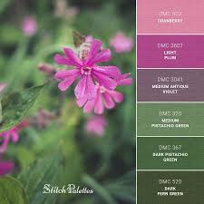 Pink Campion Green Colour Palette Color Palette Color Design Inspiration