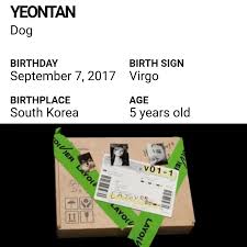 📰 BTS V, aka Kim Taehyung, has chosen the birthday of his pet pomeranian  Yeontan (8th September) as the release date for his debut solo album  #LayoVer 🥺💜 🫧 🫧 🫧 🫧