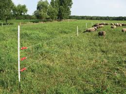 Installation of an electric fence can be done without a lot of stress. Electric Fencing All You Need To Know Cambers Country Stores Ltd