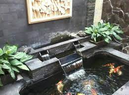 Yang menarik justru layar kaca semi berukuran besar sehingga koleksi ikan koi bisa terlihat jelas, apalagi kalau ikan koi sudah berukuran besar. Kolam Ikan Koi Minimalis Facebook