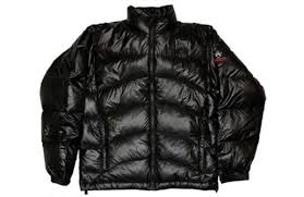 The North Face Nse Mt Fuji Jacket Acquire