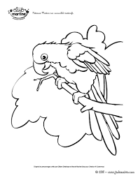 8 majestic coloriage ara collection dessin perroquet livre peter marche sur l&#x00027;eau lds fanfiction