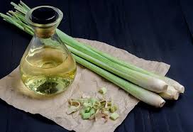 Consuming Lemongrass During Pregnancy Health Benefits Side Effects